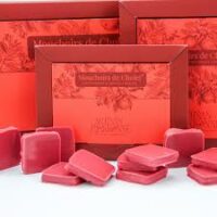 Chocolat Mouchoir de CHOLET (18 pièces 140gr)